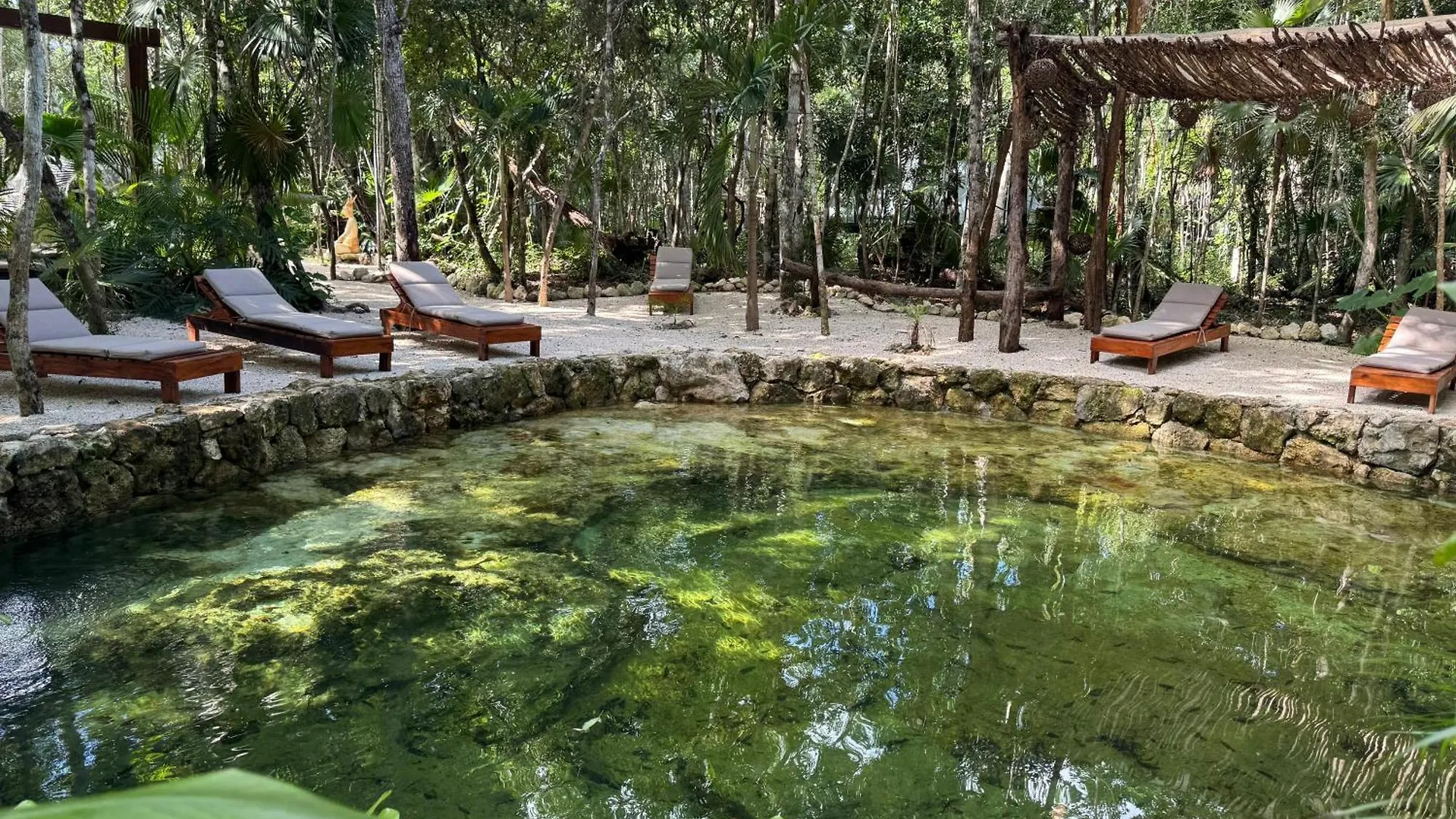 Sota Conceptual Human Space Aparthotel Puerto Morelos