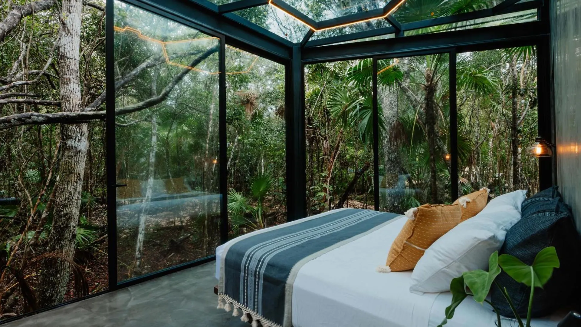 Sota Conceptual Human Space Aparthotel Puerto Morelos